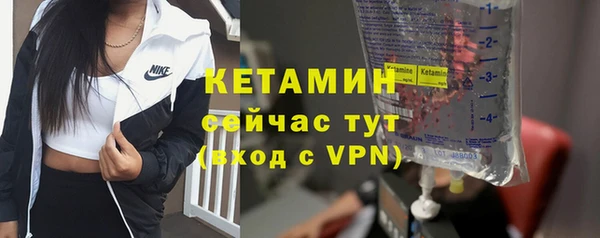 гидра Инта