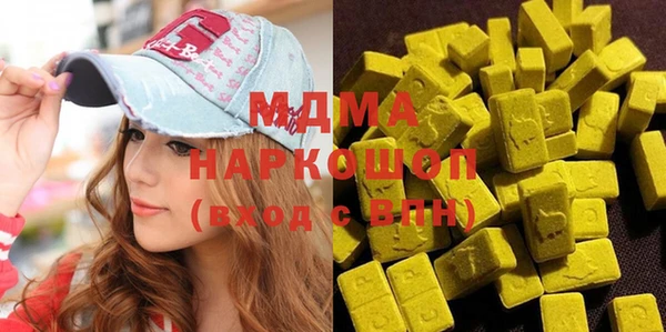 гидра Инта