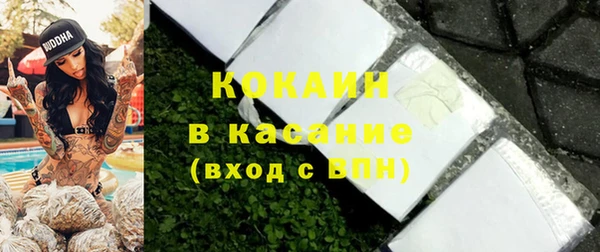 гидра Инта