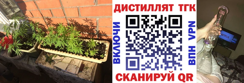 Купить где Алейск Дистиллят ТГК вейп